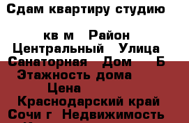 Сдам квартиру-студию 24 кв.м › Район ­ Центральный › Улица ­ Санаторная › Дом ­ 50Б › Этажность дома ­ 11 › Цена ­ 20 000 - Краснодарский край, Сочи г. Недвижимость » Квартиры аренда   